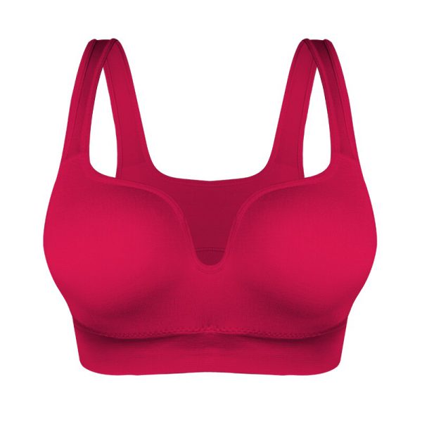 SEXYWG Women Sport Bras Yoga Shirt Fitness Running Vest Underwear Padded Bra Crop Sport Top Underwear Wireless Push Up Brassiere - Image 4